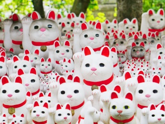 招財貓發祥地．東京『豪德寺』