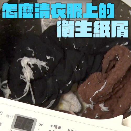 洗完衣服發現沾滿衛生紙屑超崩潰！用這招就能解決