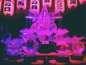 穿越古今影跡，日本橋一日散策。