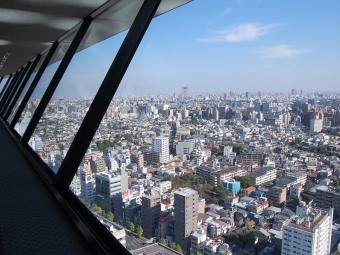 誰說玩東京一定要花大錢  這些景點都「免費」！