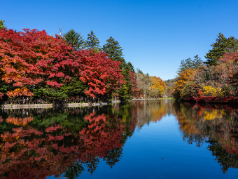 關東紅葉搶先看！輕井澤必去賞楓景點