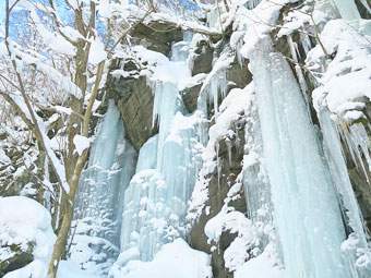 冬季限定！十和田湖、奧入瀨溪流 近距離欣賞「結冰瀑布」奇景