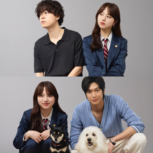 日韓合製正夯！《初戀DOGs》幕後祕密告訴你（持續更新）