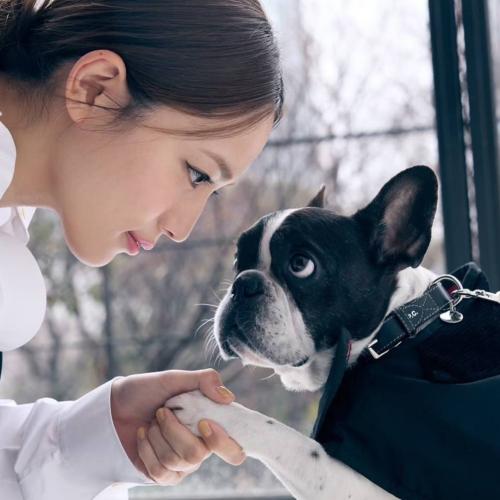 痛失毛小孩😢川口春奈IG發長文淚別愛犬