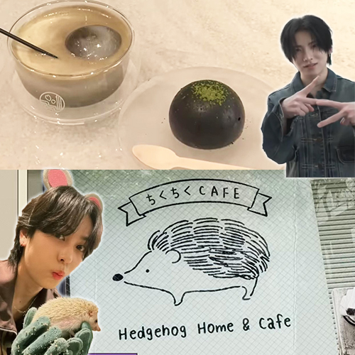 【跟著偶像玩東京-澀谷區篇】&TEAM帶你打卡人氣甜點店、超萌刺蝟咖啡廳