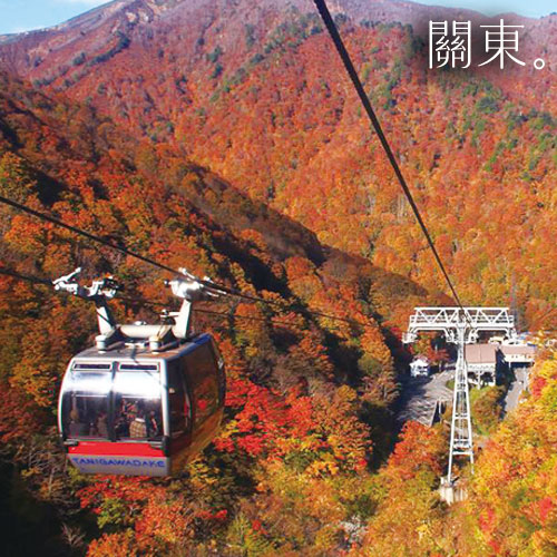 2025日本【關東】10大賞楓名所！從東京出發看紅葉