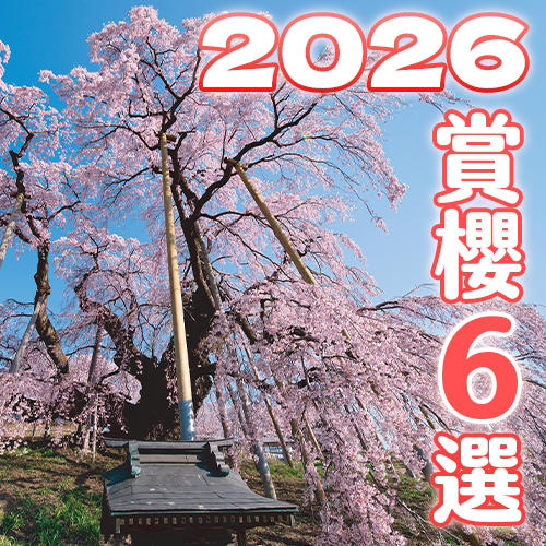 【2026版】賞櫻推薦🌸精選6個日本櫻花熱門景點🌸