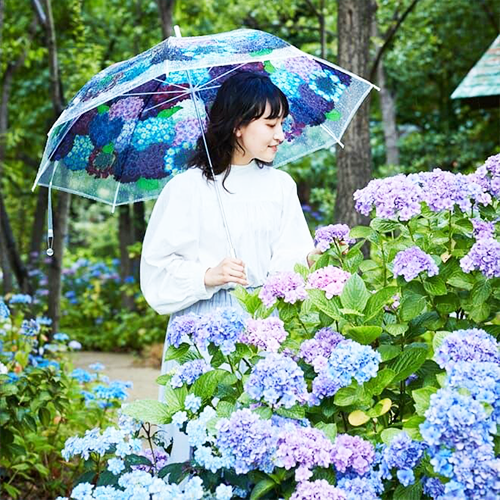 靜岡自由行必排！『繡球花祭』6月登場🏵️從這遠眺富士山、漫步1.3萬株夢幻花海