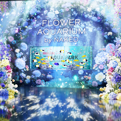 東京下雨也不怕！品川水族館限定必看超夢幻水母萬花筒、夜間海豚秀