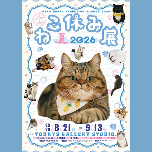 東京人氣「2026夏季貓咪休息展」🐾來了！網紅貓新作、限定周邊必收