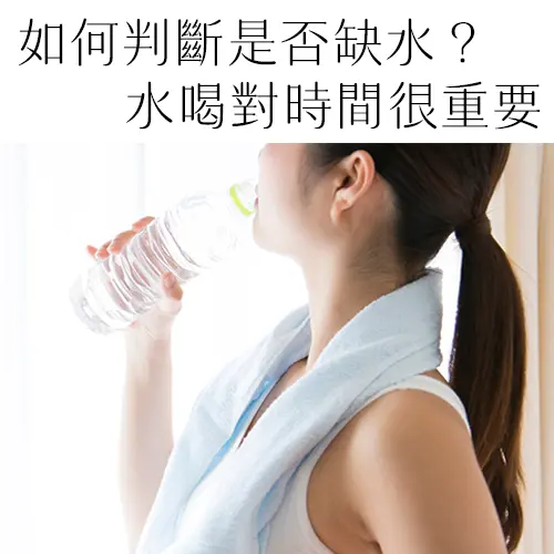 夏天補水別只會喝水「喝什麼、什麼時候喝」才重要！日專家破解4大迷思
