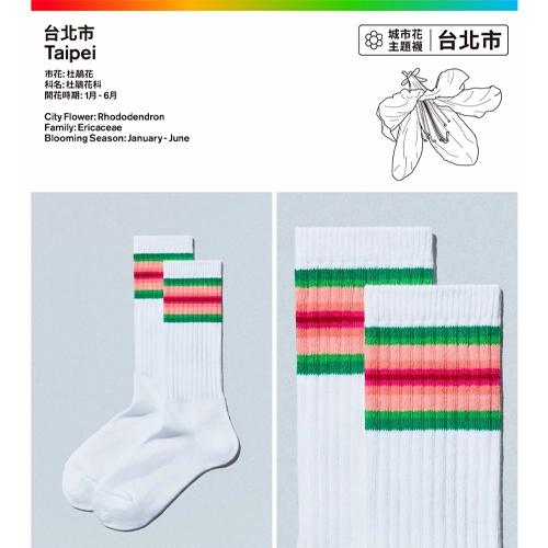  台北市也有限定襪💐日本全家歡慶45週年！CONVENIENCE WEAR推「城市花主題襪」