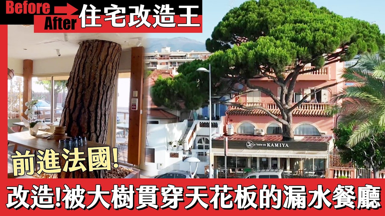 全新❗【住宅改造王X秘境有房好吃驚】前進法國改造！被大樹貫穿天花板的漏水餐廳